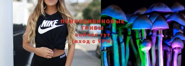 метадон Алексеевка