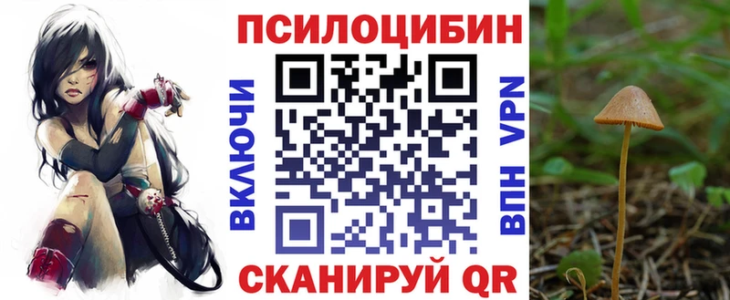 Псилоцибиновые грибы мухоморы Лесной